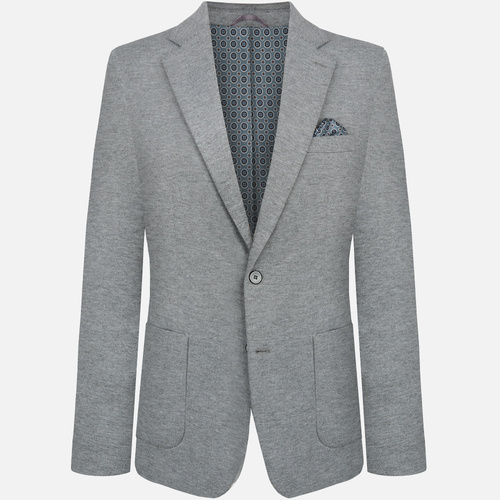 Marynarka Męska Szara Ksamil