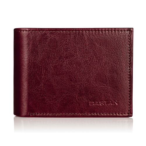 Portfel Męski SW04 Brown